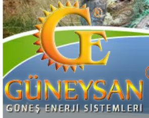 Güneysan